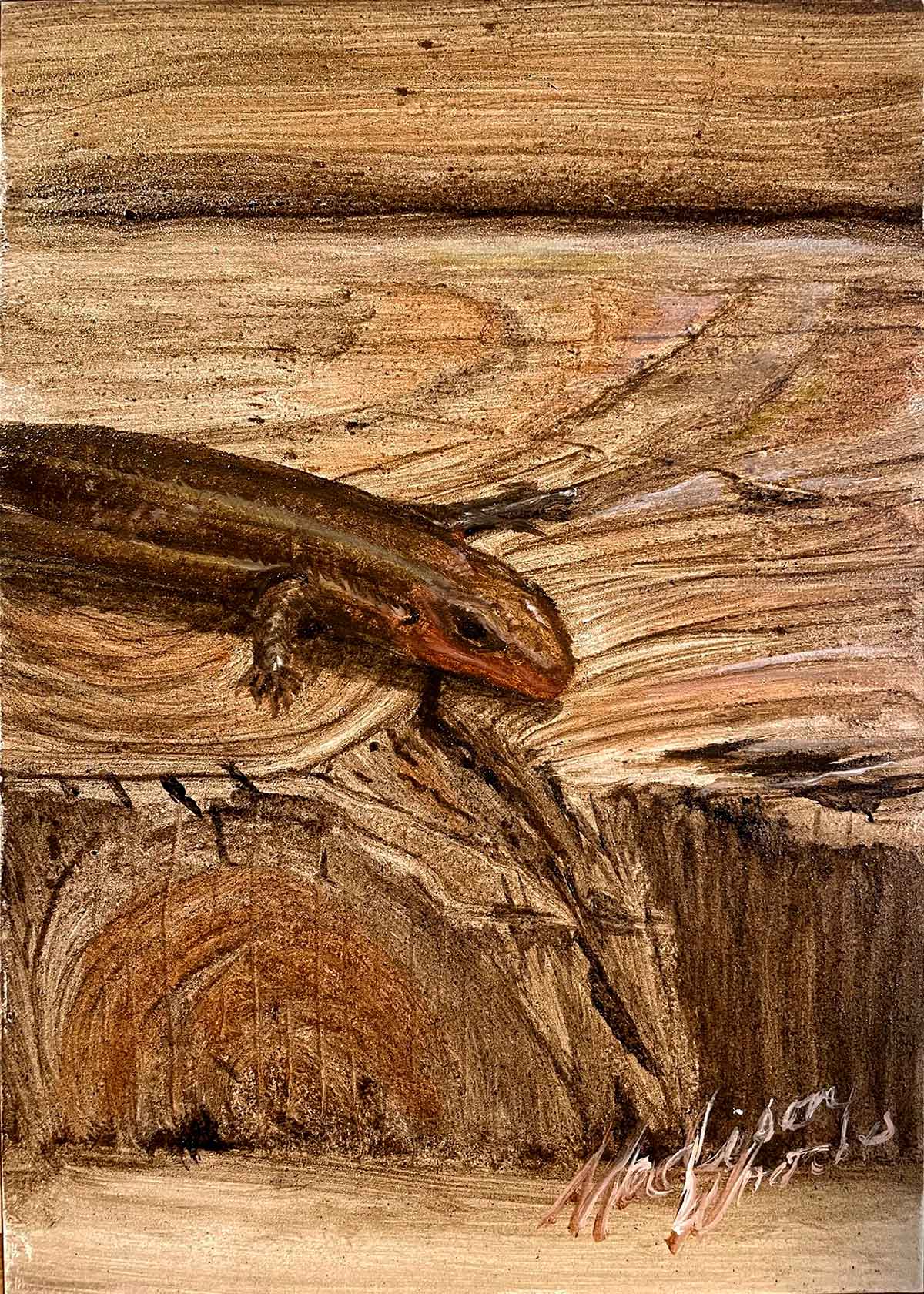 A friendly skink, painting by Madison Woods in Ozark pigments.