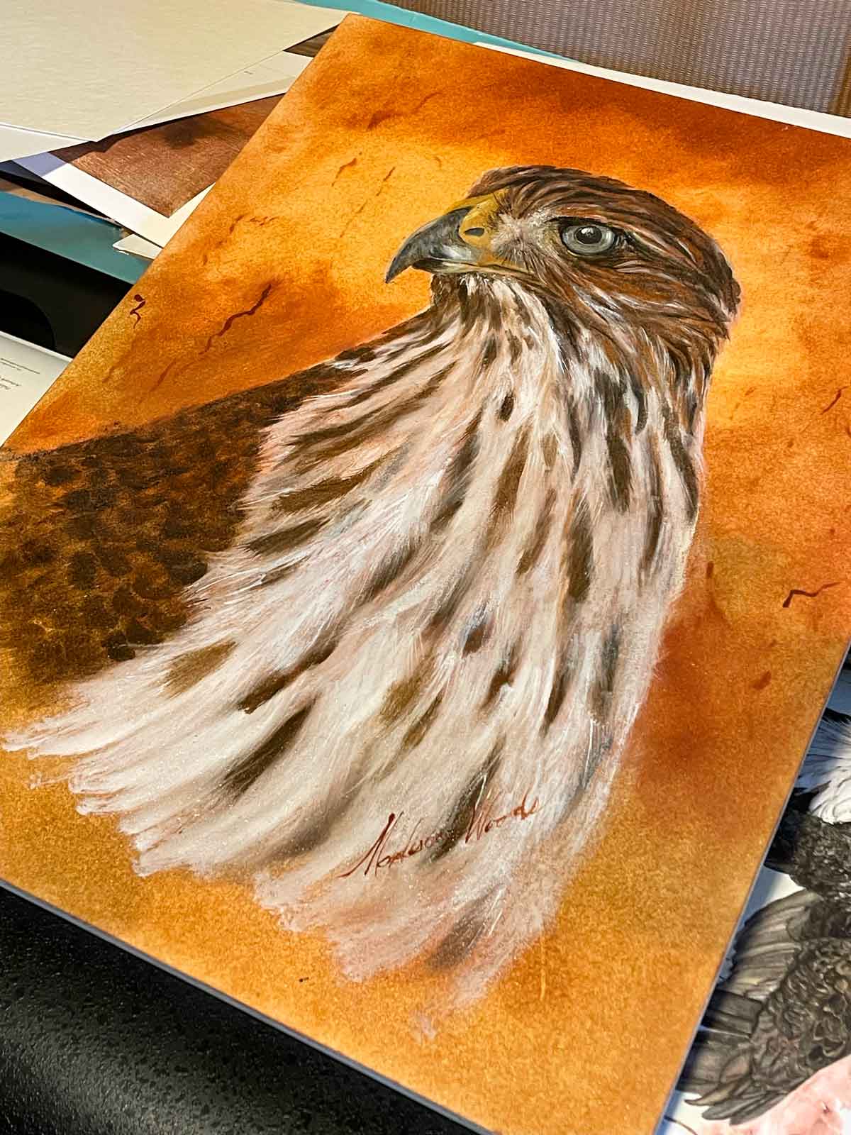my painting of a cooper's hawk is finished.