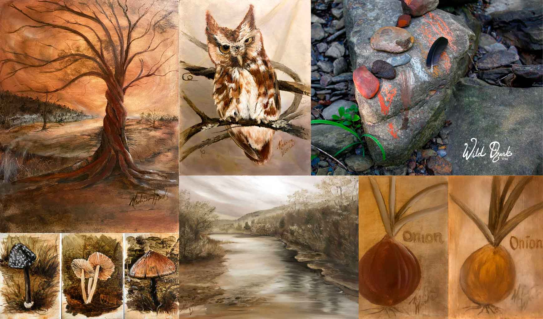 Seeking Nature and Biodiversity?