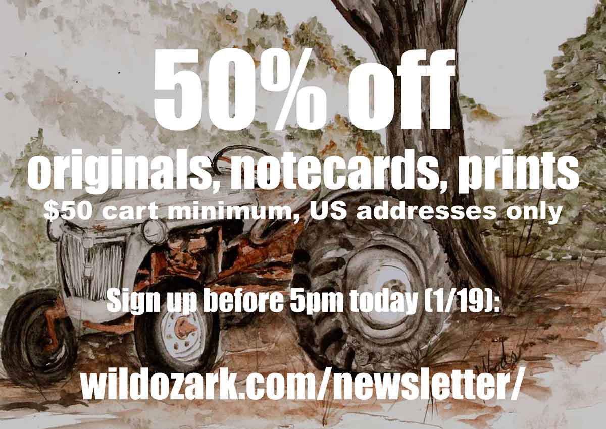 Newsletter Subscriber Special