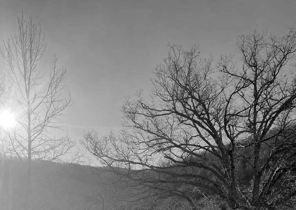 Frozen Fingers on a Beautiful, Brutally Cold Morning