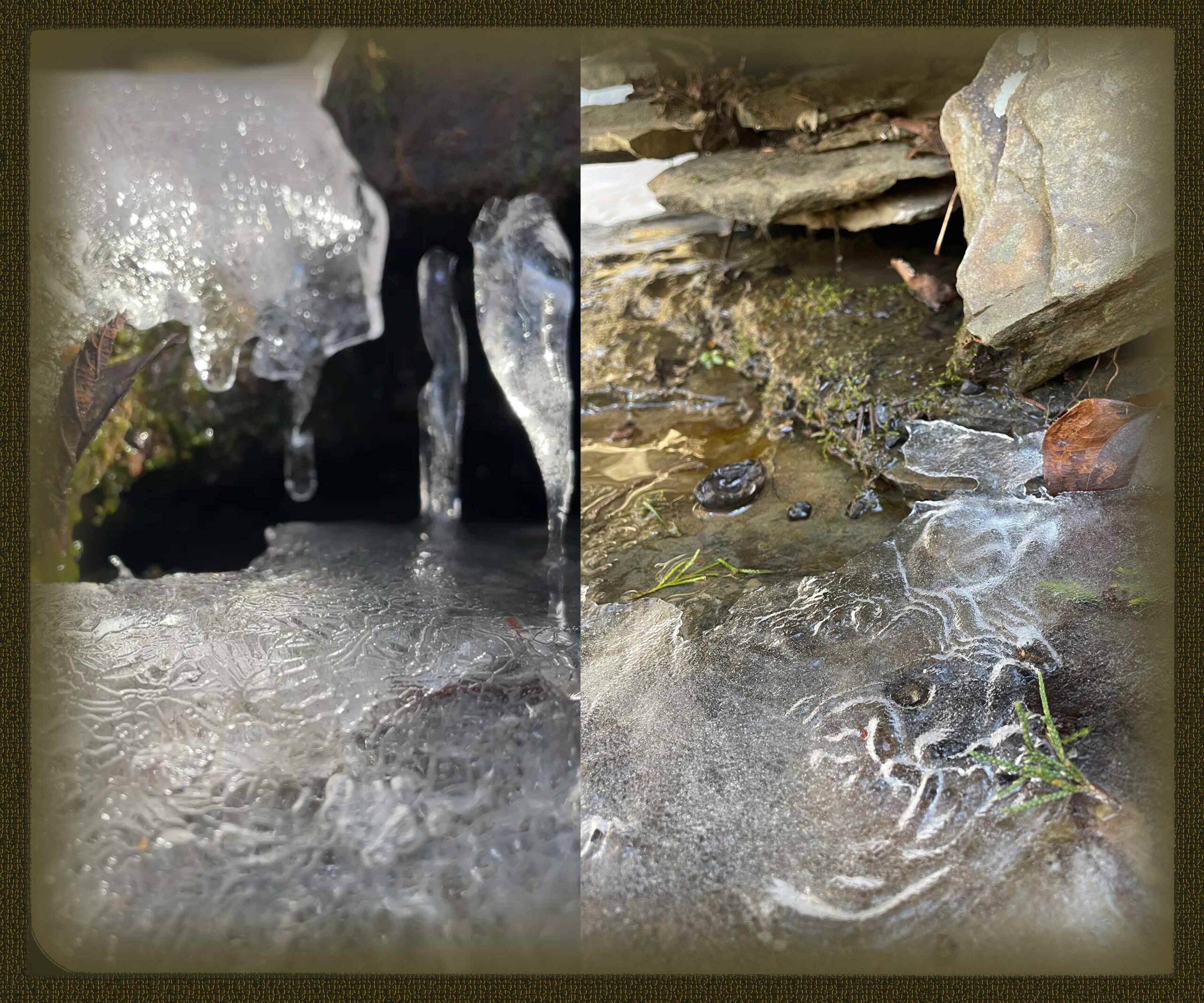 Ozark Winter Walkabout