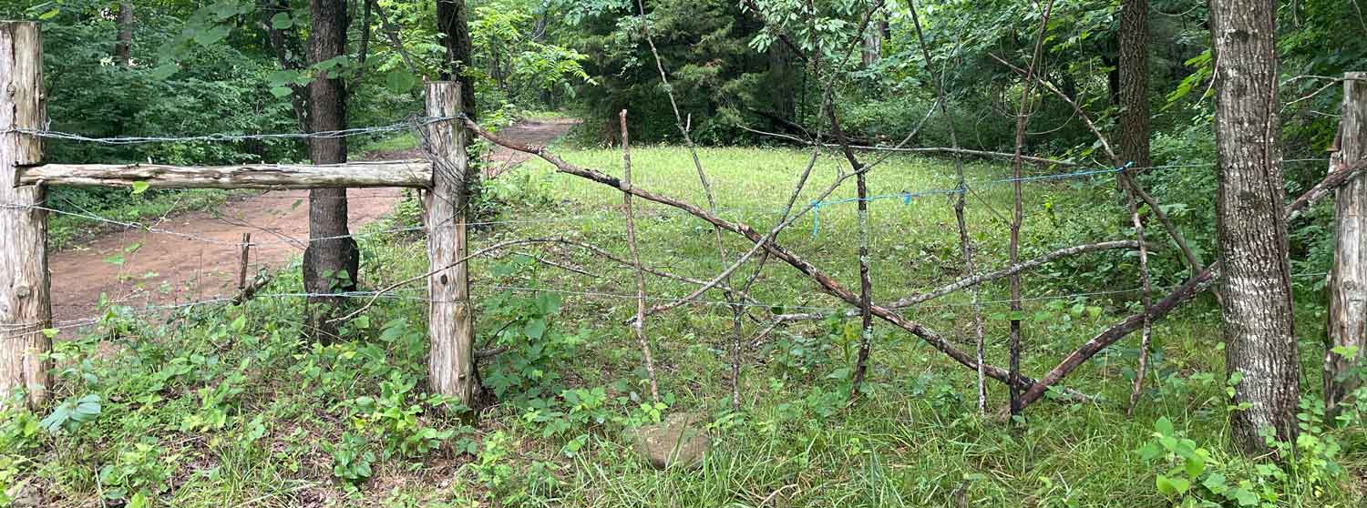 Making do with on-hand resources - fence repair